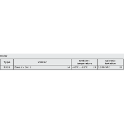 Transmițător programabil cu 2 fire 5331A3B | ATSEN