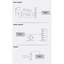 Programmable LED indicator 5714D