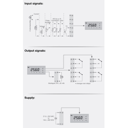 Programmable LED indicator 5715B