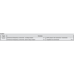 Universal frequency converter. analog output 3225A-N