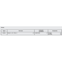 Transmițător programabil cu 2 fire 6331A2A